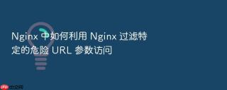 nginx 中如何利用 nginx 过滤特定的危险 url 参数访问