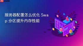 服务器配置怎么优化 swap 分区提升内存性能
