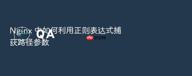 nginx 中如何利用正则表达式捕获路径参数