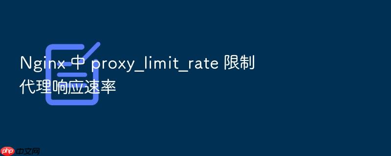 nginx 中 proxy_limit_rate 限制代理响应速率