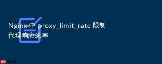 nginx 中 proxy_limit_rate 限制代理响应速率