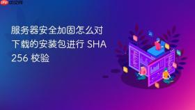 服务器安全加固怎么对下载的安装包进行 SHA256 校验