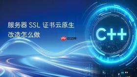 服务器 ssl 证书云原生改造怎么做