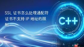 SSL 证书怎么处理通配符证书不支持 IP 地址的限制