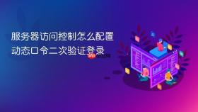 服务器访问控制怎么配置动态口令二次验证登录