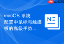 macOS 系统配置中鼠标与触摸板的高级手势自定义