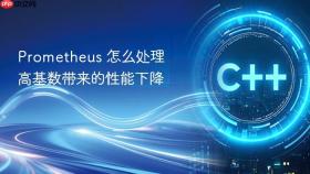 prometheus 怎么处理高基数带来的性能下降