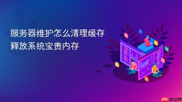 服务器维护怎么清理缓存释放系统宝贵内存