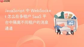 javascript 中 websocket 怎么在多租户 saas 平台中隔离不同租户的消息通道