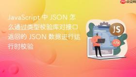 javascript 中 json 怎么通过类型校验库对接口返回的 json 数据进行运行时校验