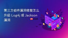 第三方组件漏洞修复怎么升级 log4j 或 jackson 漏洞