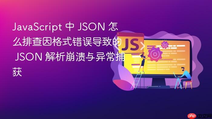 javascript 中 json 怎么排查因格式错误导致的 json 解析崩溃与异常捕获