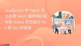 javascript 中 fetch 怎么处理 fetch 请求响应成功但 status 状态码为 4xx 或 5xx 的错误