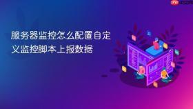 服务器监控怎么配置自定义监控脚本上报数据