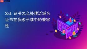SSL 证书怎么处理泛域名证书在多级子域中的兼容性
