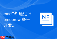 macOS 通过 Homebrew 备份开发环境配置的方法