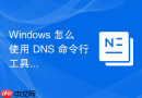 Windows 怎么使用 DNS 命令行工具清除本地 DNS 缓存记录