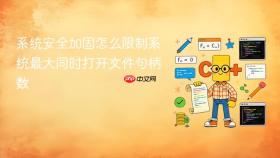 系统安全加固怎么限制系统最大同时打开文件句柄数