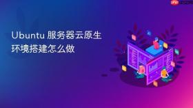 Ubuntu 服务器云原生环境搭建怎么做
