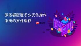 服务器配置怎么优化操作系统的文件缓存
