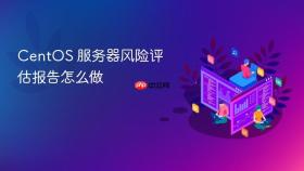 centos 服务器风险评估报告怎么做