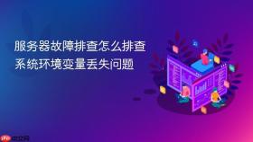 服务器故障排查怎么排查系统环境变量丢失问题