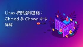 linux 权限控制基础:chmod 与 chown 命令详解