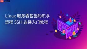 Linux 服务器基础知识与远程 SSH 连接入门教程