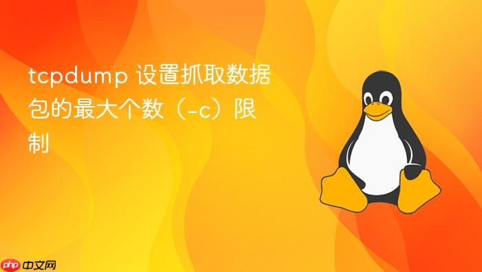 tcpdump 设置抓取数据包的最大个数(-c)限制