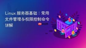 Linux 服务器基础：常用文件管理与权限控制命令详解