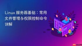 linux 服务器基础:常用文件管理与权限控制命令详解