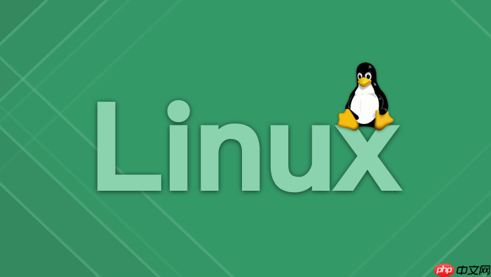 linux文件管理进阶：使用 tar 与 zip 进行高效打包、压缩与解压