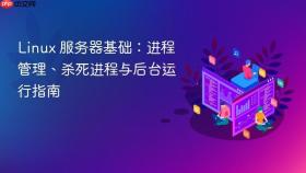 linux 服务器基础:进程管理、杀死进程与后台运行指南