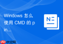 Windows 怎么使用 CMD 的 ping 测试网络连通性与延迟丢包