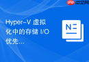 Hyper-V 虚拟化中的存储 I/O 优先级管理