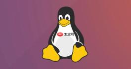如何解决 Docker 容器内的时区与宿主机冲突