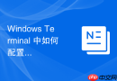 Windows Terminal 中如何配置特定终端在独立的高权限进程中运行