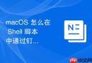 macOS 怎么在 Shell 脚本中通过钉钉或企业微信推送运维告警