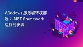 Windows 服务器环境部署：.NET Framework 运行时安装