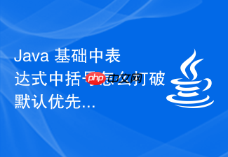 java 基础中表达式中括号怎么打破默认优先级
