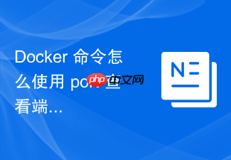 docker 命令怎么使用 port 查看端口映射关系