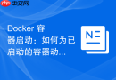 Docker 容器启动：如何为已启动的容器动态附加输入输出流