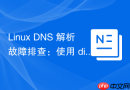 Linux DNS 解析故障排查：使用 dig、nslookup 与 host 命令诊断