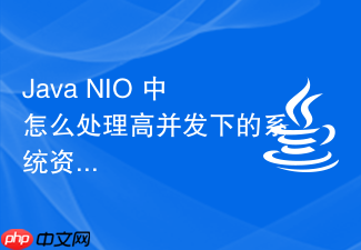java nio 中怎么处理高并发下的系统资源耗尽