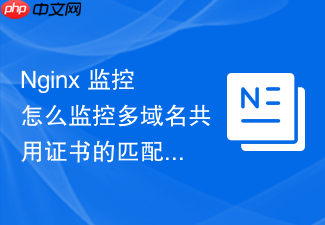 nginx 监控怎么监控多域名共用证书的匹配与加载状态