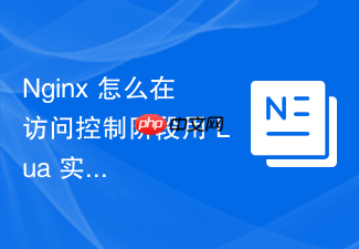nginx 怎么在访问控制阶段用 lua 实现严密的接口防刷保护