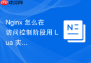 Nginx 怎么在访问控制阶段用 Lua 实现严密的接口防刷保护