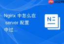 nginx 中怎么在 server 配置中过滤并丢弃无效的垃圾请求流量