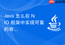 Java 怎么在 NIO 框架中实现可靠的容灾备份机制