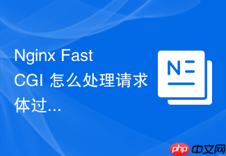 nginx fastcgi 怎么处理请求体过大导致的实体错误